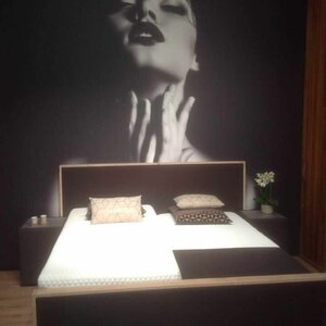 Alphabed Zaanstad image 2