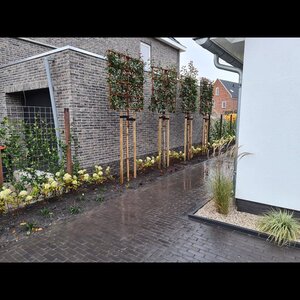 BG Landscaping image 3