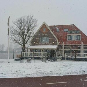 De Gouden Karper image 5