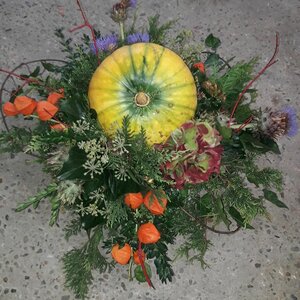 Vet Creatieve Workshops/Kwekerij image 1