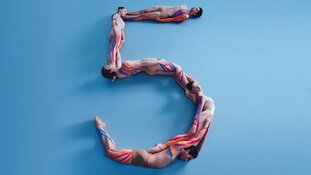 In the Future tournee: 5 jaar Junior Company