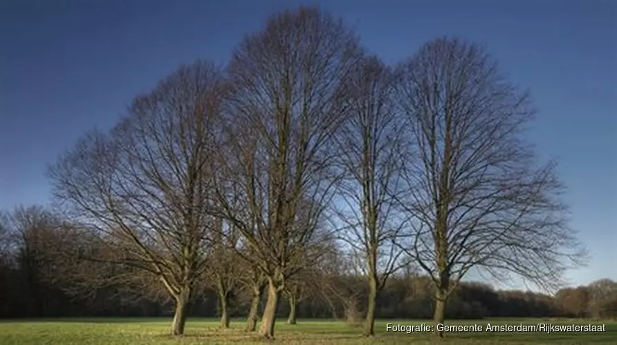Verbreding A9 en het Bos