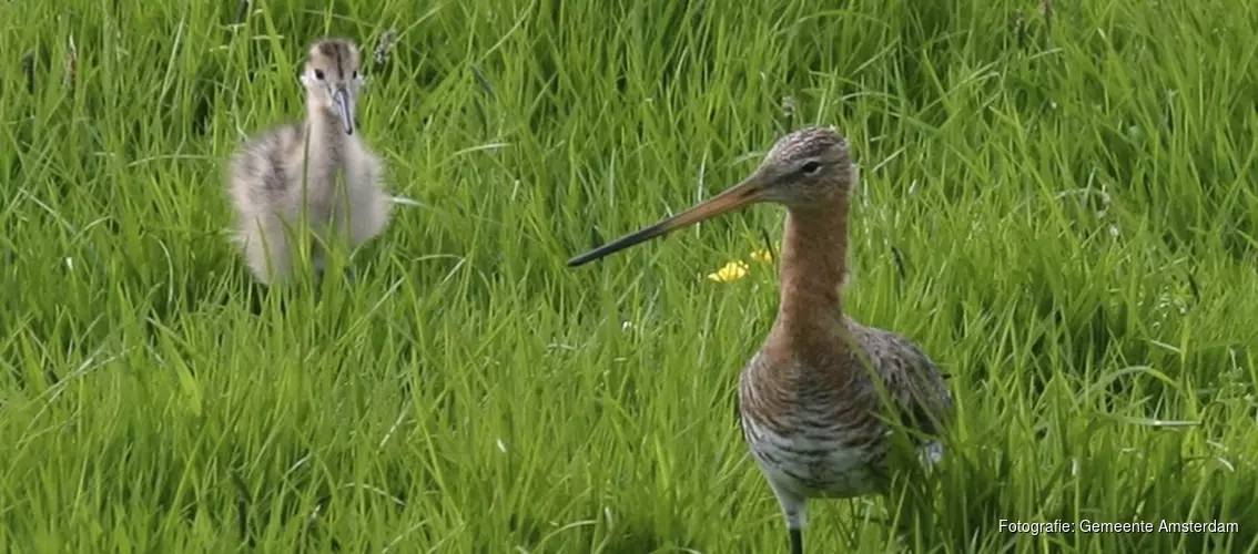Proefafsluiting fiets- en wandelpad Klein-Duivendrechtse Polder