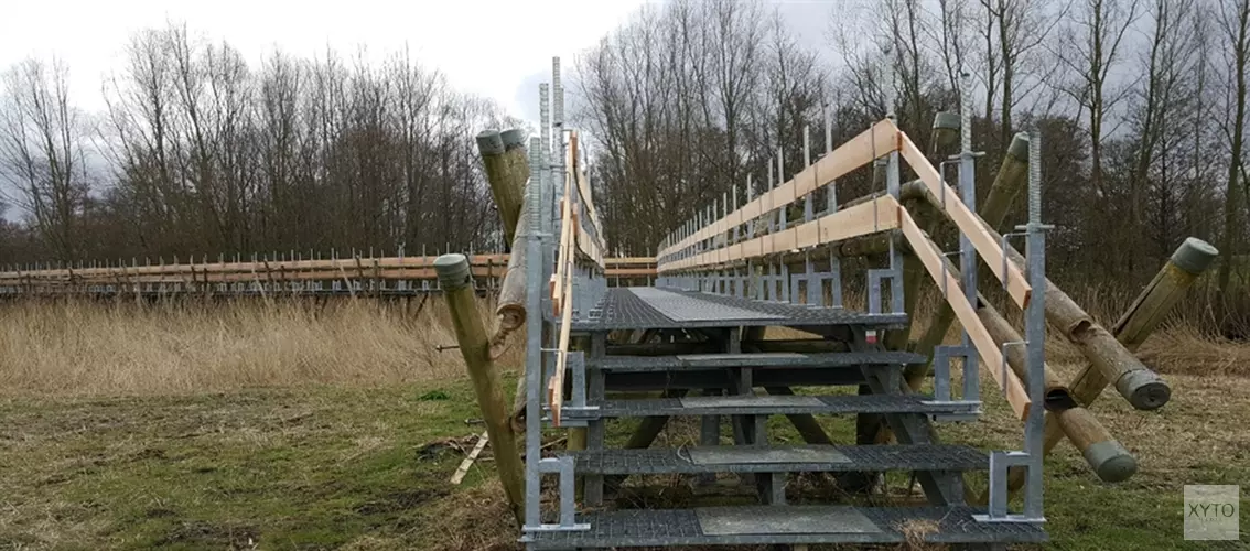 Bamboebrug Bloesempark weer open
