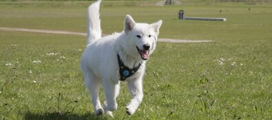 Aanpassing uitren- en verbodsgebieden