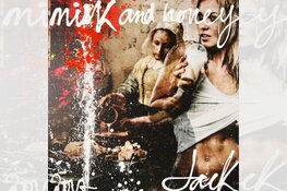 Officiële opening Jacksart Gallery Amsterdam; Kunst van Jack Liemburg nu ook exclusief in Amsterdam