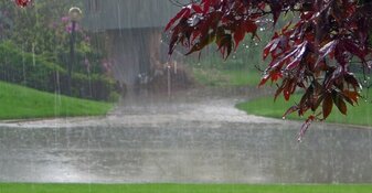 Frisse wind door provincie: vanaf donderdag flinke regenbuien