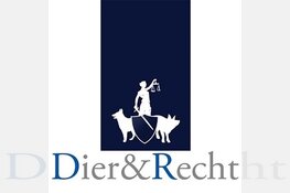 Protest bij RAI tegen 's werelds grootste hondenshow