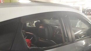 Honden in hete auto's achtergelaten bij hondenshow: zes honden bevrijd