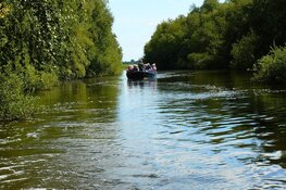 Stil en betoverend, varen door het broekbos in Ilperveld