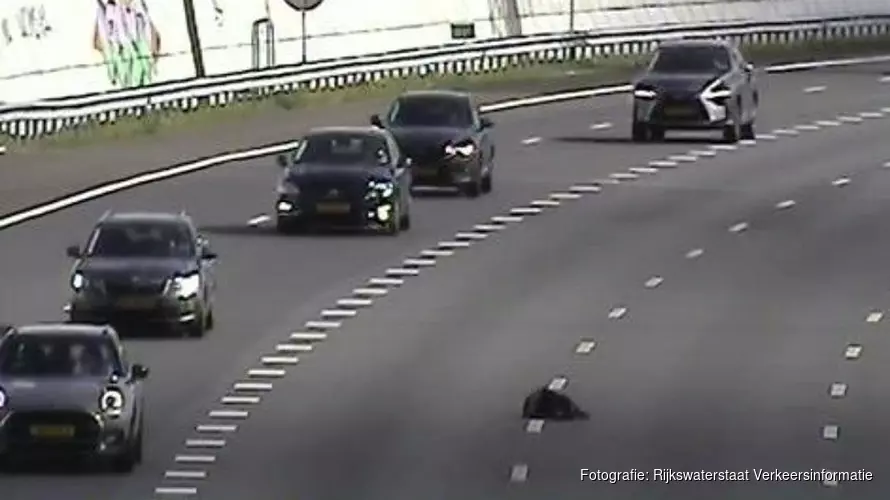 Meerdere rijstroken afgesloten op A9 vanwege verloren motorjas