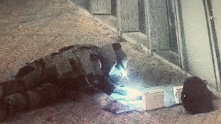 Explosieven gevonden na mislukte plofkraak