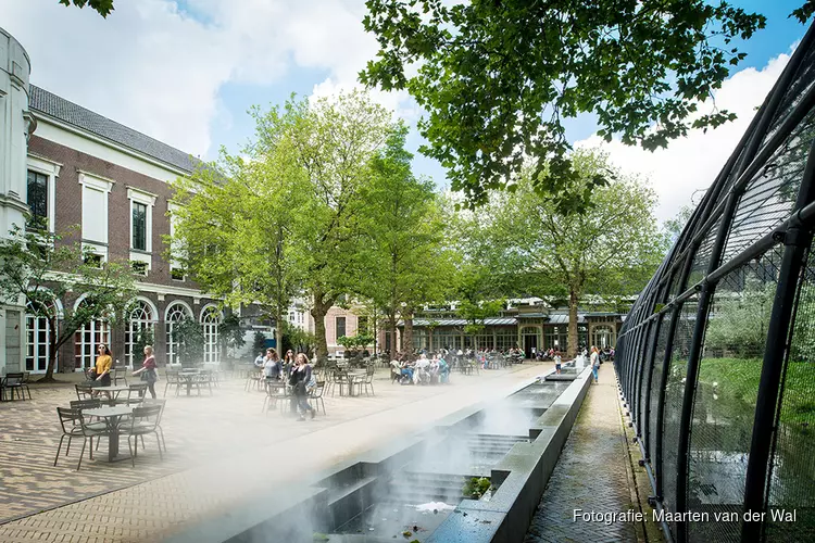 Afspraken Amsterdam en ARTIS over dierenwelzijn en duurzaamheid