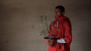 Stedelijk Museum presenteert: FREEDOM OF MOVEMENT