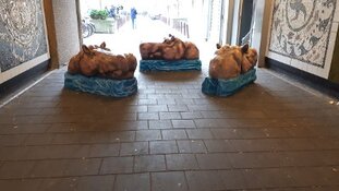 Wie danste mogelijk met Sofie?