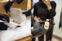 Aankomst prehistorisch object in Hermitage Amsterdam: 25.000 jaar oude Venus van Kostjonki