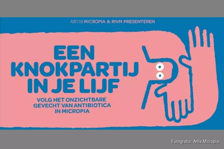 Knokpartij in je lijf - Artis Micropia