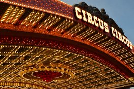 Magic Circus in Bangert Oosterpolder