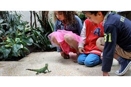 Kinderen voor vier euro naar ARTIS op stakingsdag