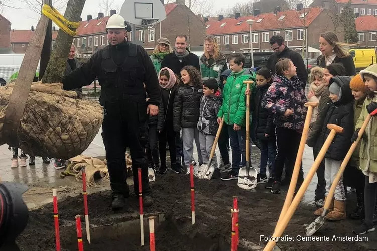 Amsterdam deelt bomen uit voor een groenere stad