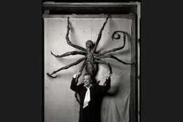 Louise Bourgeois in de Rijksmuseumtuinen