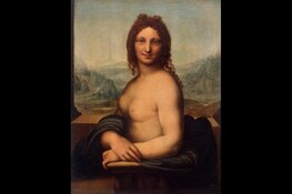 Hermitag t's Donna Nuda mogelijk toch een échte Da Vinci?