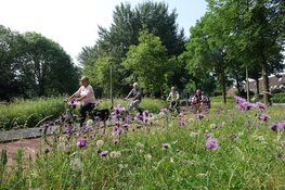 Stichting Dorpentocht fietst op zondag 2 juni 2019 voor de 42e keer voor een Goed Doel