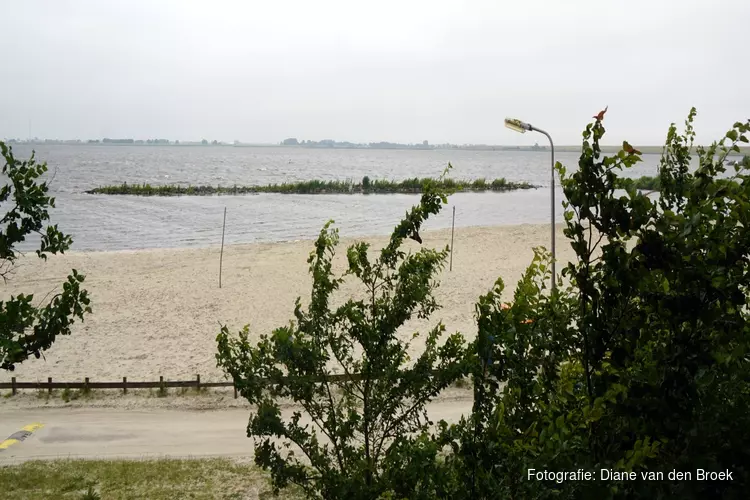 Blauwalg heeft Noord-Hollandse wateren nog niet in zijn greep