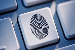 Man aangehouden voor grootschalige online betaalfraude