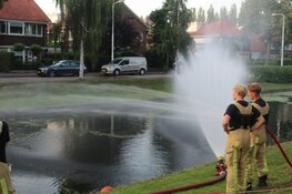 Vissen komen boven drijven in Amstelveense sloot
