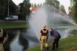 Vissen komen boven drijven in Amstelveense sloot