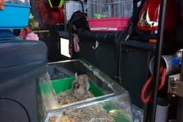 Amsterdamse brandweer haalt vrouw en zeven huisdieren uit woning vol rook