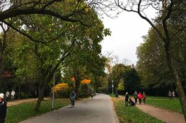 Rechtszaak om daklozencamping in het Vondelpark