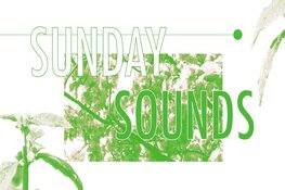 SUNDAY SOUNDS: MELLOW MUSIC EDITIE