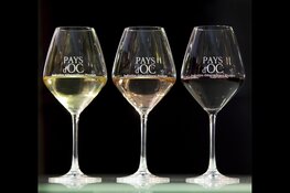 Pays d&#39;Oc IGP opent First dates wijnbar op Amsterdam Wine Festival