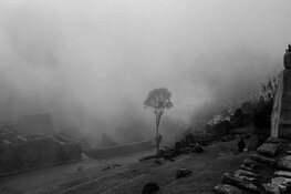 Drie jonge, Amsterdamse kunstenaars genomineerd voor unieke expositieplek in het Cobra Museum