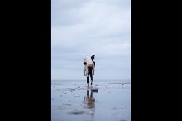 Acht persoonlijke studentenfilms in première tijdens Noordelijk Film Festival