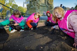 Bollen planten voor Tulp Festival Amsterdam 2020