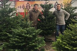 Kerstbomen Amsterdam, straatverkoop en online bezorging van kerstbomen in Amsterdam. De hoogste kwaliteit en service!