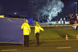 Taxichauffeur overleden bij ongeval Seineweg/Theemsweg