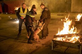 Politiehonden oefenen met vuurwerk