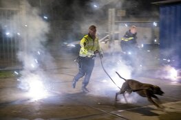 Politiehonden oefenen met vuurwerk