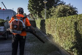 Hoveniers en voormannen in omgeving Amsterdam / Hillegom / Hoofddorp/ Noordwijk bij SIGHT Landscaping