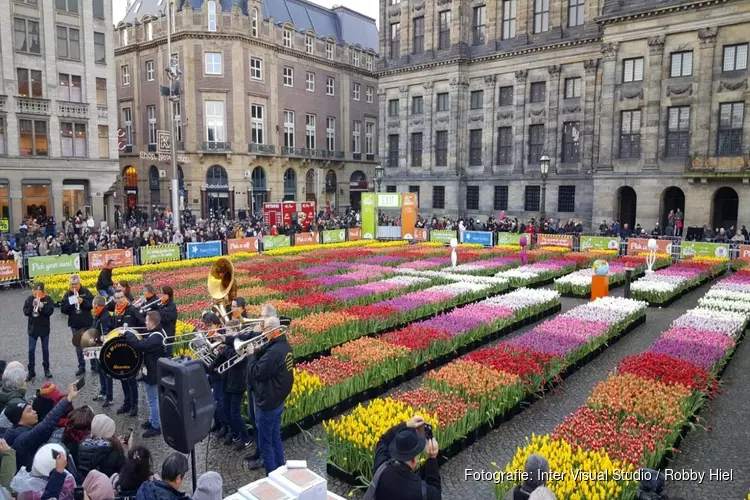Grote belangstelling voor tulpenpluktuin op de Dam