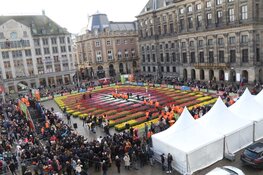 Grote belangstelling voor tulpenpluktuin op de Dam