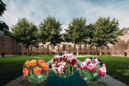 Opening Tulp Festival in Hermitage Amsterdam