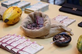 22 en 23 februari Chocoa Festival in de Beurs van Berlage Amsterdam