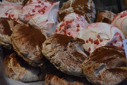 Chocoa Festival 2020 goed bezocht