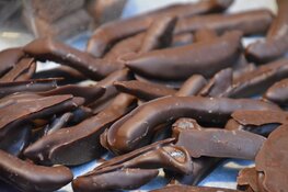 Chocoa Festival 2020 goed bezocht