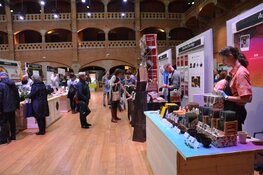 Chocoa Festival 2020 goed bezocht